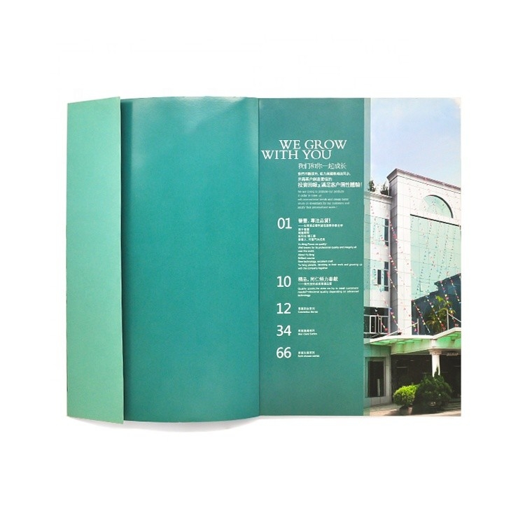 Kundenspezifischer Farbbildbuchdruck 4c+4c CMYK-Farbe ISO-Zulassung