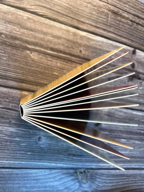 Broschüren-kundenspezifisches Färbungs-Buch der Flugschrift-A5, das Cmyk-Farbe-ISO druckt